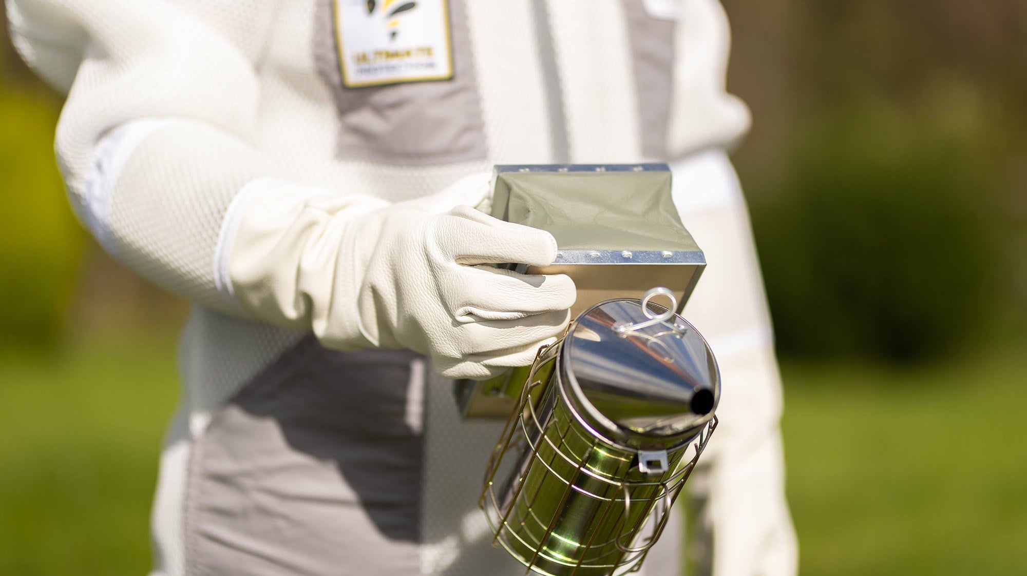 When Worlds Collide (And Why It’s Buzzing with Excitement)