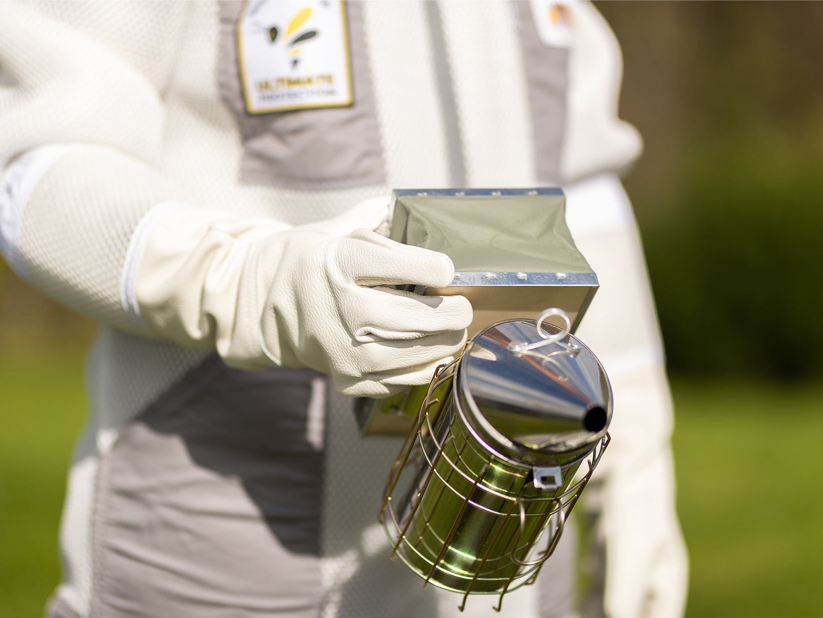 When Worlds Collide (And Why It’s Buzzing with Excitement)