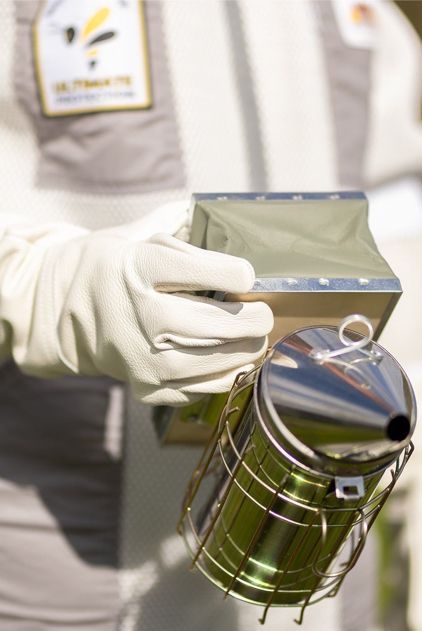 When Worlds Collide (And Why It’s Buzzing with Excitement)