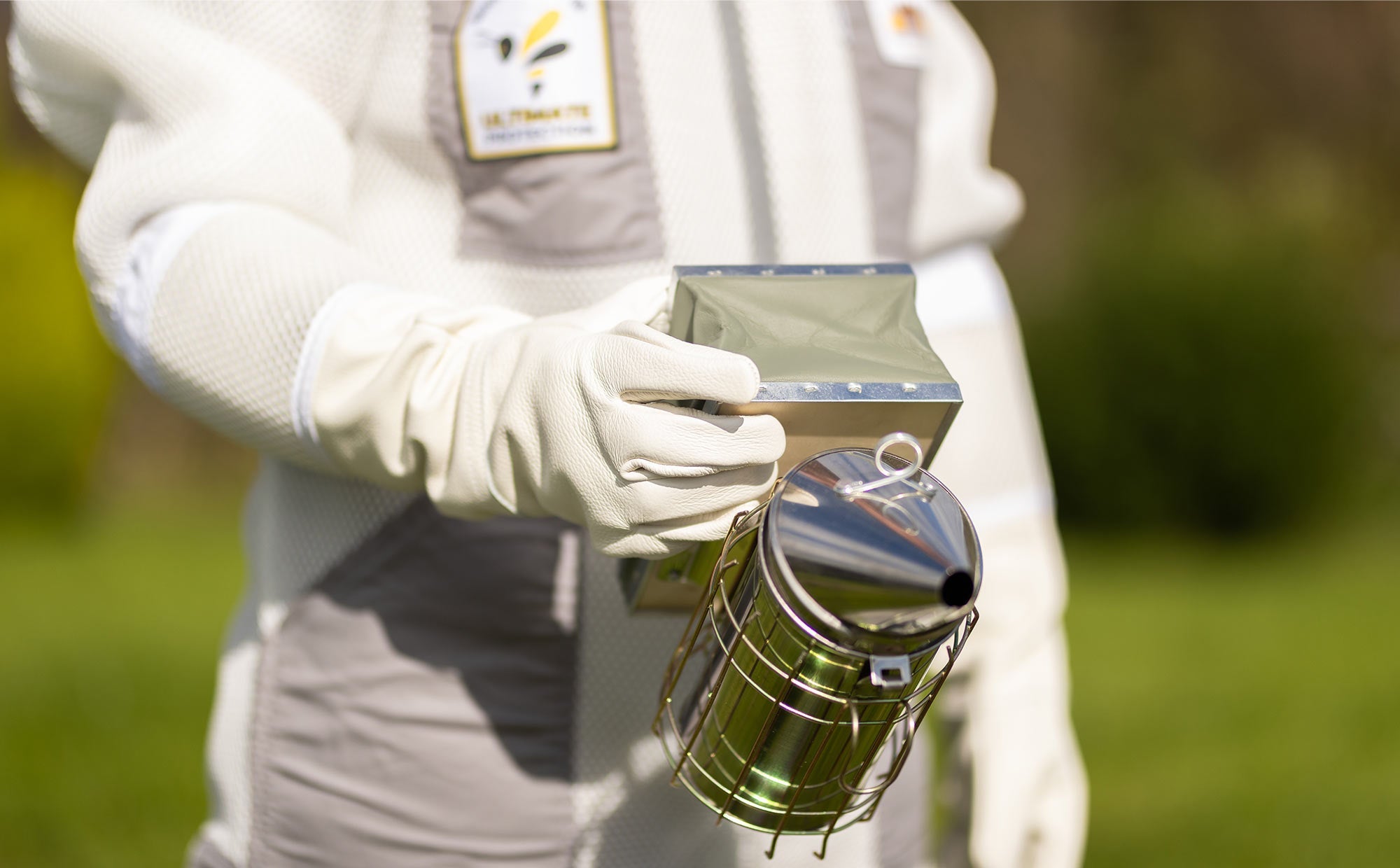 When Worlds Collide (And Why It’s Buzzing with Excitement)